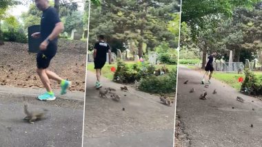 Squirrels And Man Jog Together in Park; Aww-Worthy Video Will Definitely Make Your Day!